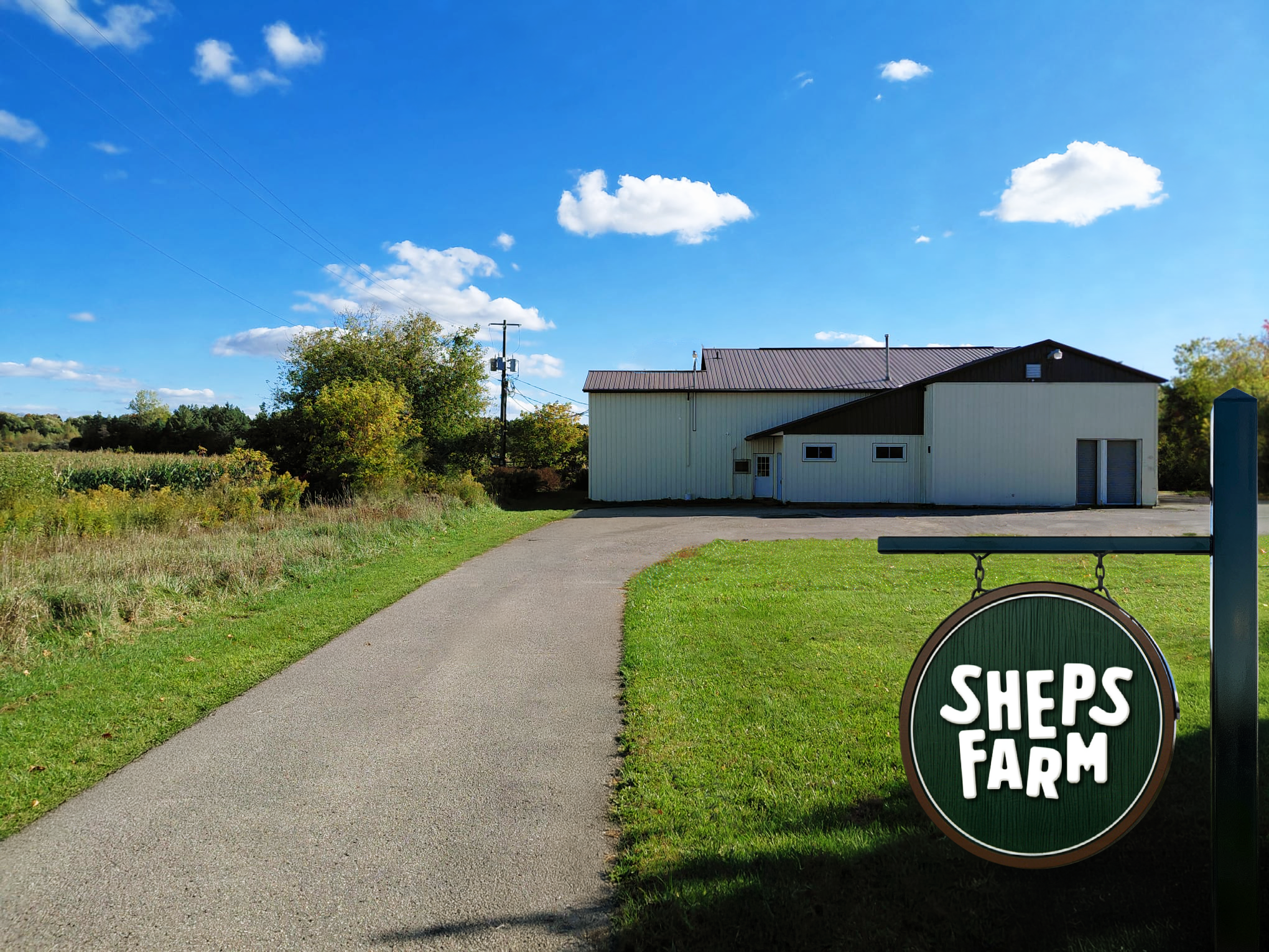 From Pasture to Plate: The Journey of Our Grass-Fed Beef