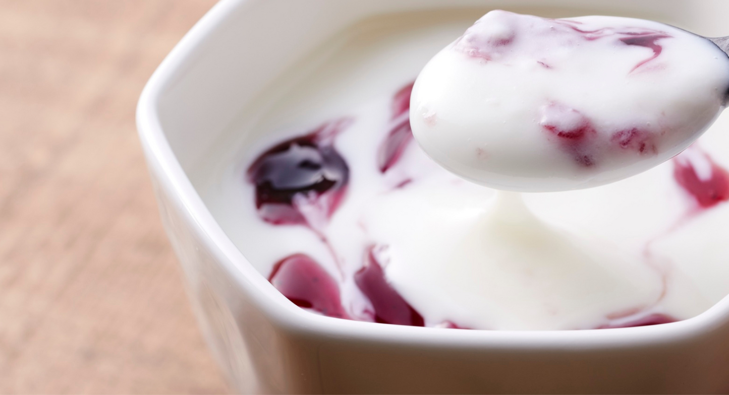 🎁 Probiotic Yogurt — Fresh and Creamy (100% off)