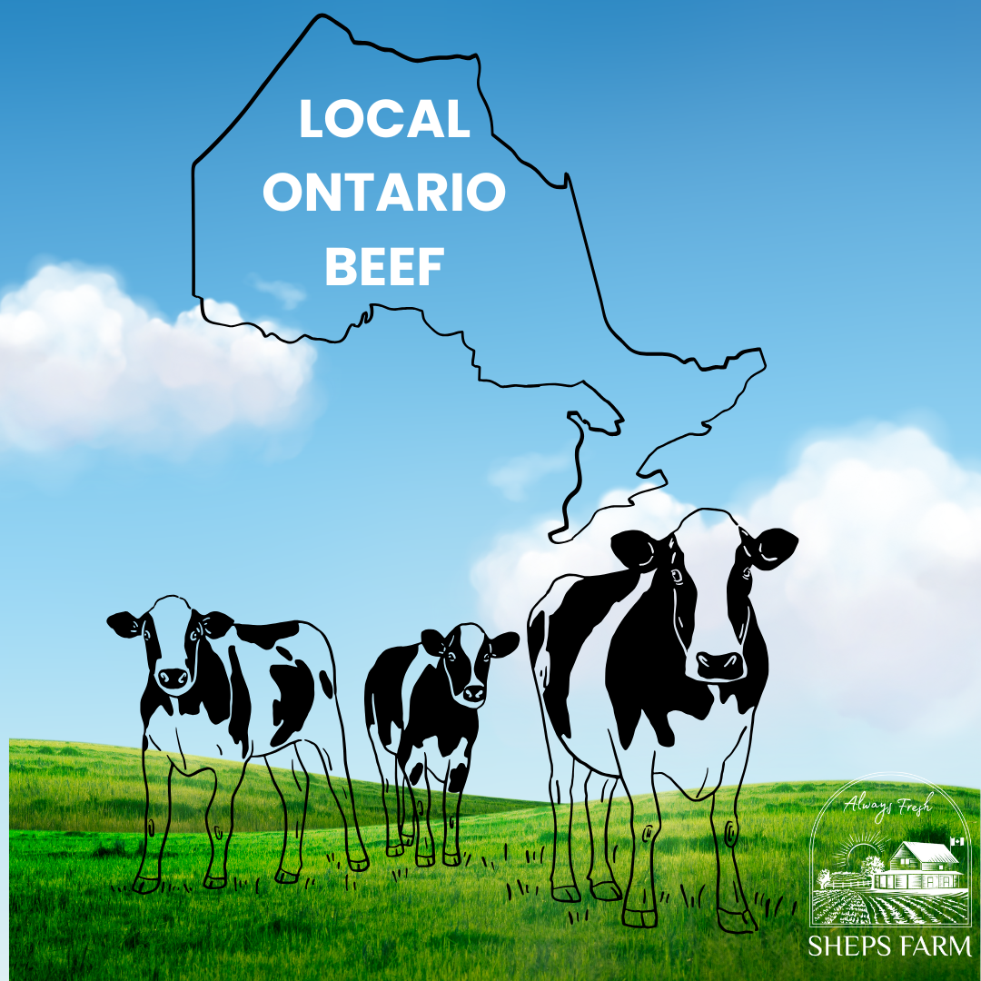 Fresh April 2025 Beef Tallow 4lb – Triple Filtered by Sheps Farm – Local Ontario Beef – Cooking Fat for Frying and Baking – Halal Certified – No Preservatives – Keto & Paleo Friendly
